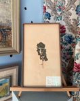 Load image into Gallery viewer, Framed Herbarium Sheet #18