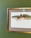 Load image into Gallery viewer, Framed Vintage Fish Print - Lake