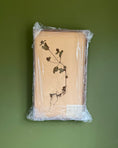 Load image into Gallery viewer, Framed Herbarium Sheet #11