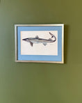 Load image into Gallery viewer, Framed Vintage Fish Print - Pigghaj
