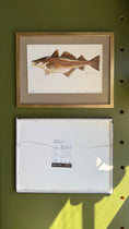 Load image into Gallery viewer, Framed Vintage Fish Print - Pigghaj