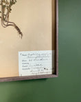 Load image into Gallery viewer, Framed Herbarium Sheet #5