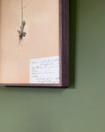 Load image into Gallery viewer, Framed Herbarium Sheet #1