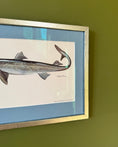 Load image into Gallery viewer, Framed Vintage Fish Print - Pigghaj