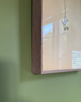 Load image into Gallery viewer, Framed Herbarium Sheet #1