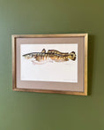 Load image into Gallery viewer, Framed Vintage Fish Print - Lake