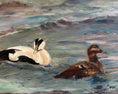 Load image into Gallery viewer, Two Ducks