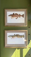 Load image into Gallery viewer, Framed Vintage Fish Print - Lake