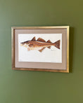 Load image into Gallery viewer, Framed Vintage Fish Print - Torsk
