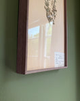 Load image into Gallery viewer, Framed Herbarium Sheet #10