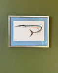 Load image into Gallery viewer, Framed Vintage Fish Print - Näbbgädda