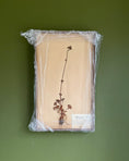 Load image into Gallery viewer, Framed Herbarium Sheet #16