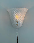 Load image into Gallery viewer, Glass Wall Light
