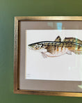 Load image into Gallery viewer, Framed Vintage Fish Print - Lake