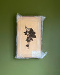 Load image into Gallery viewer, Framed Herbarium Sheet #12