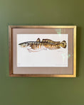 Load image into Gallery viewer, Framed Vintage Fish Print - Lake
