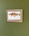 Load image into Gallery viewer, Framed Vintage Fish Print - Torsk