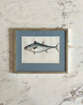Load image into Gallery viewer, Framed Vintage Fish Print - "Tonfisk"