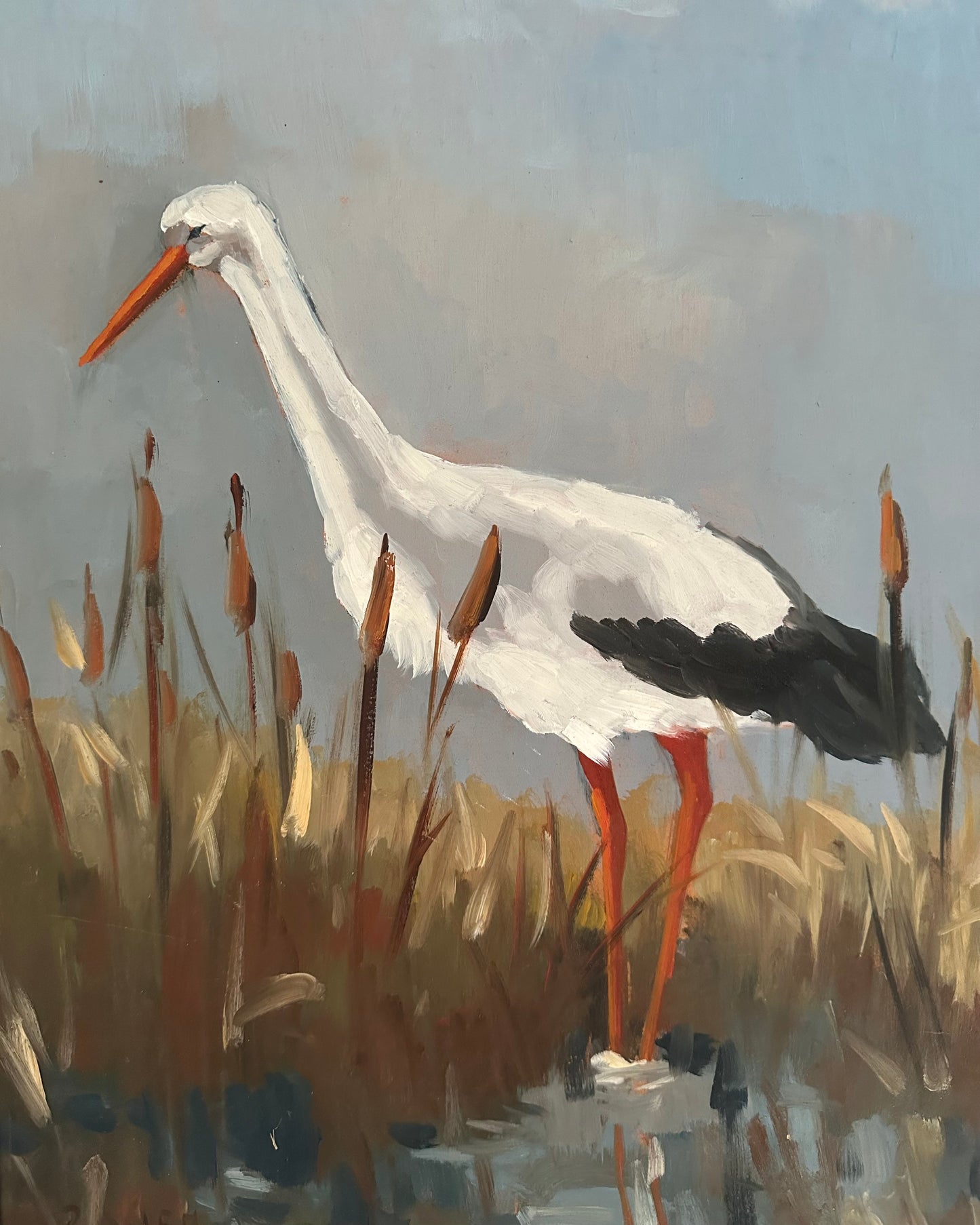 The Stork