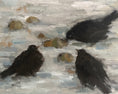 Load image into Gallery viewer, Three Blackbirds
