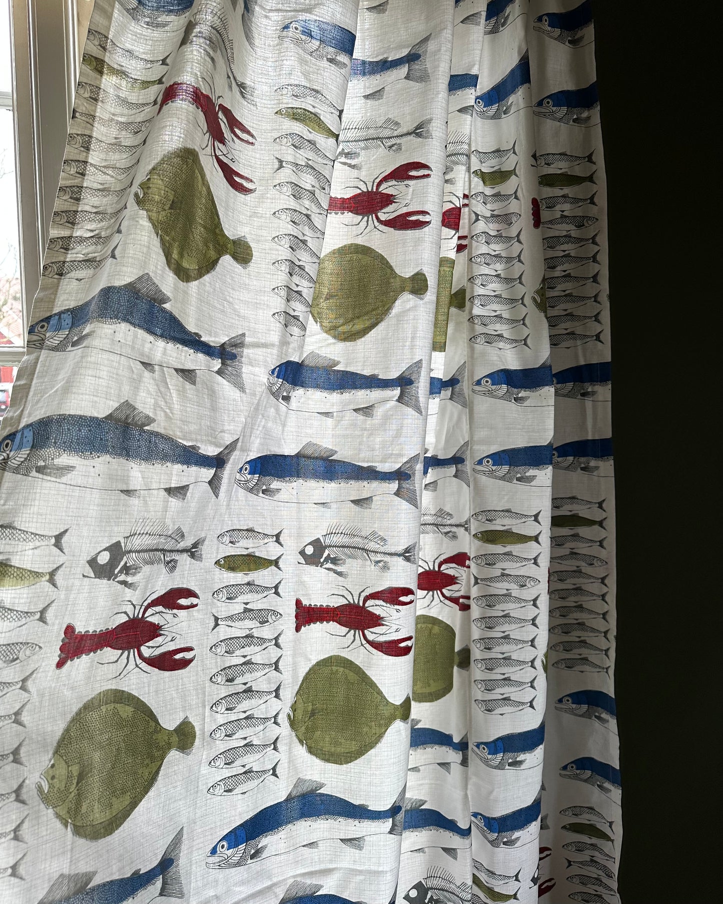 Pair of Curtains