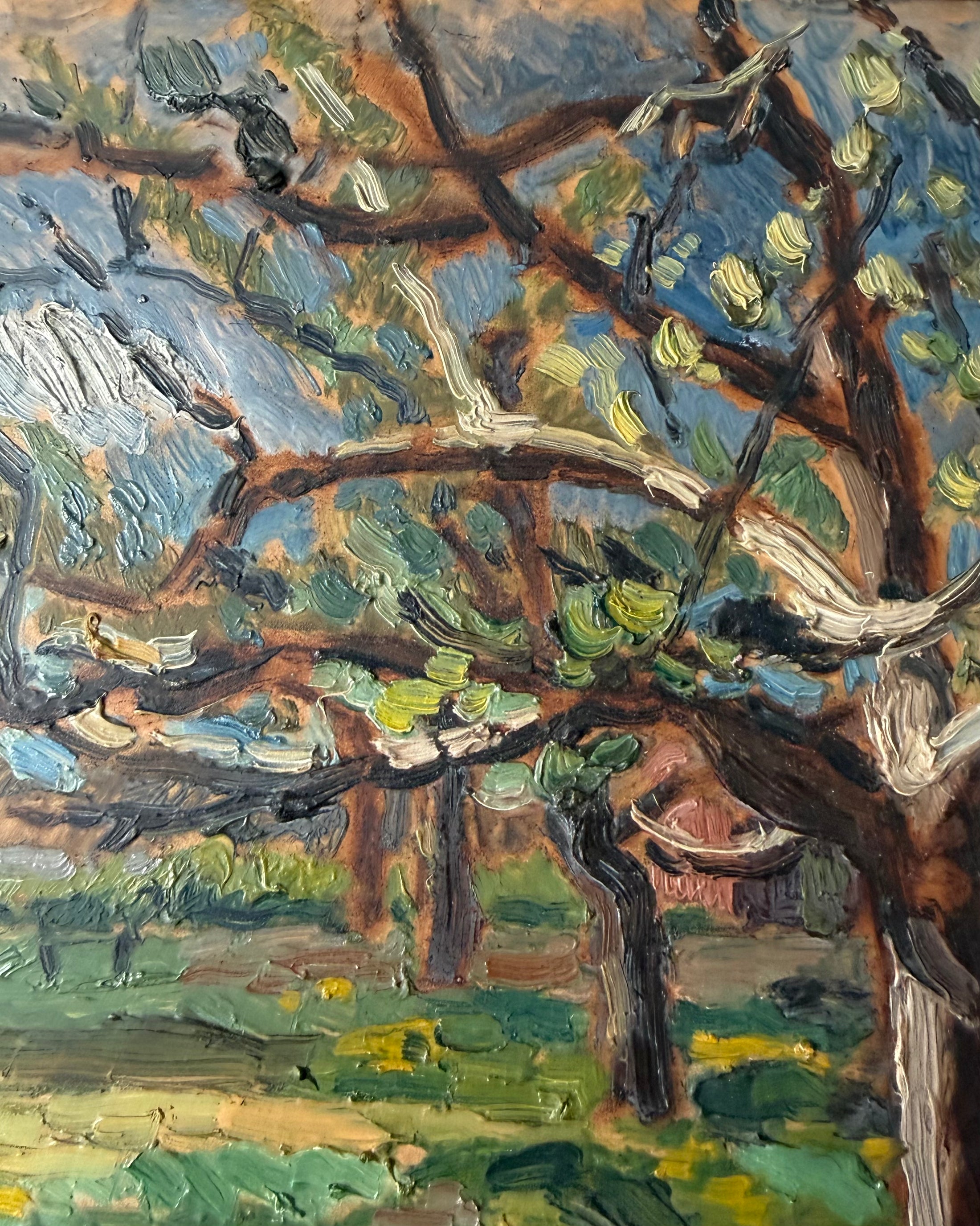 Spring Trees