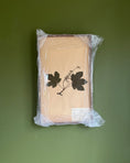 Load image into Gallery viewer, Framed Herbarium Sheet #13

