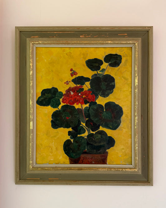 Geranium