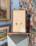 Load image into Gallery viewer, Framed Herbarium Sheet #14
