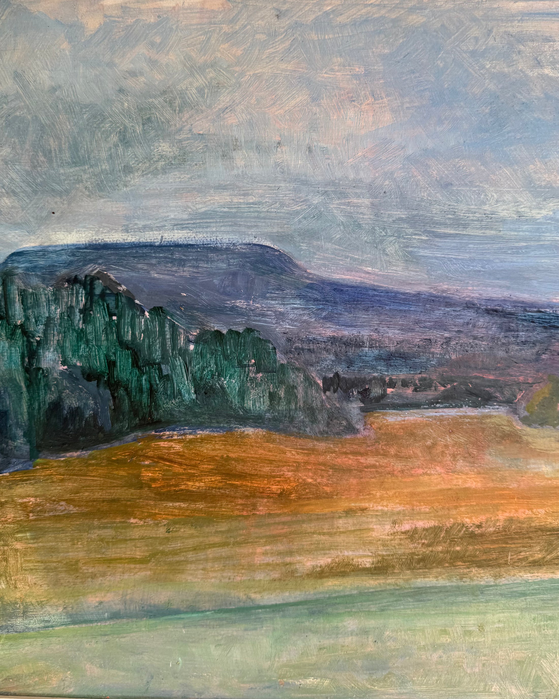 Mid-Century View