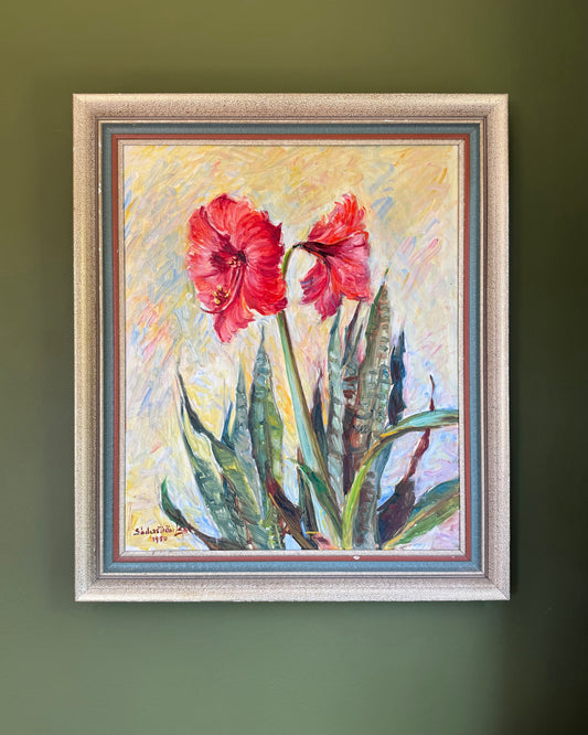 Amaryllis