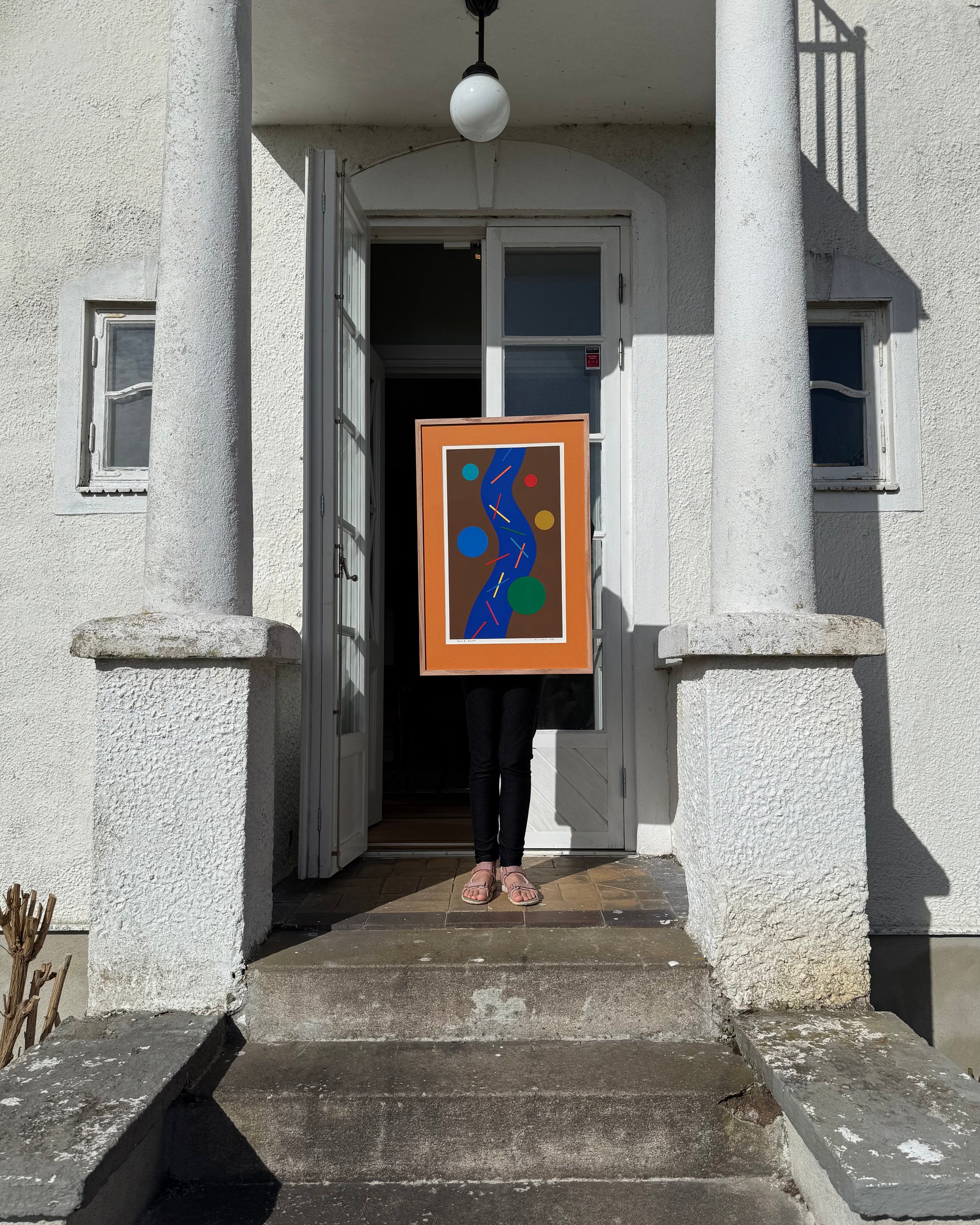 Framed Color Lithograph