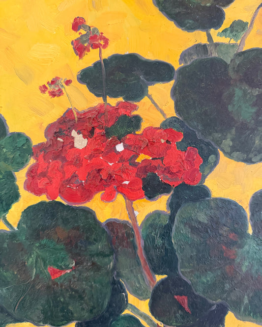 Geranium