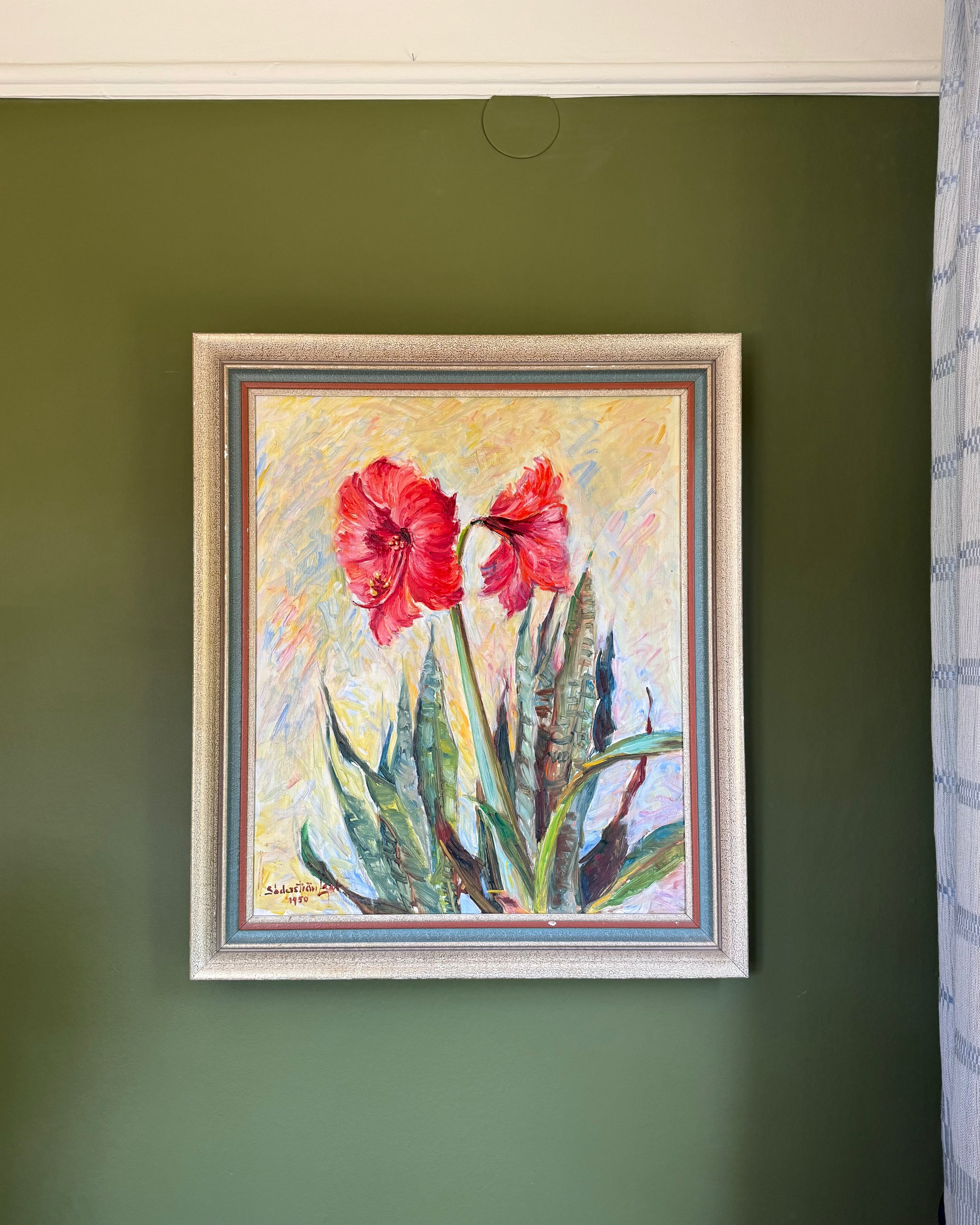 Amaryllis