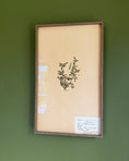 Load image into Gallery viewer, Framed Herbarium Sheet #10

