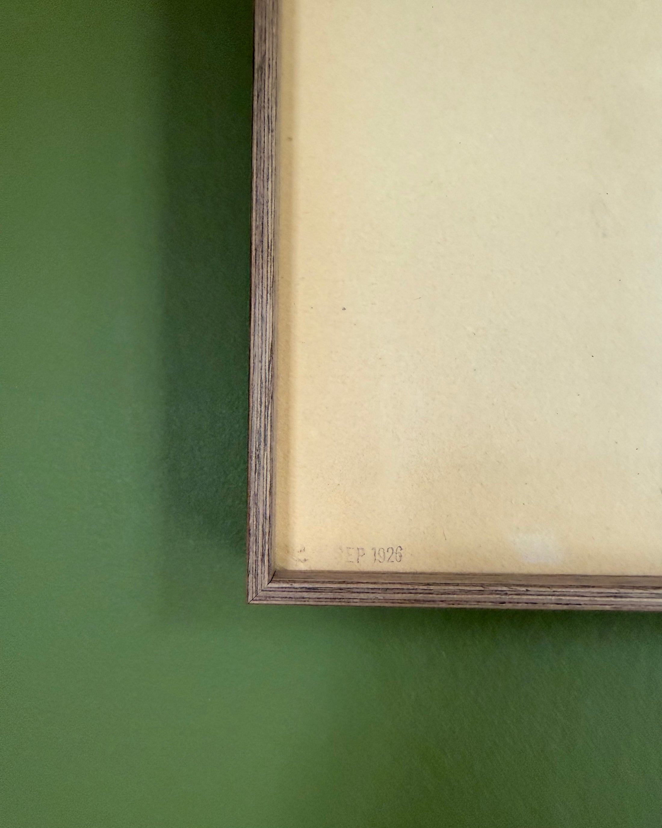 Framed Herbarium Sheet #10