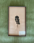 Load image into Gallery viewer, Framed Herbarium Sheet #18
