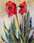 Load image into Gallery viewer, Amaryllis
