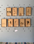 Load image into Gallery viewer, Framed Herbarium Sheet #15
