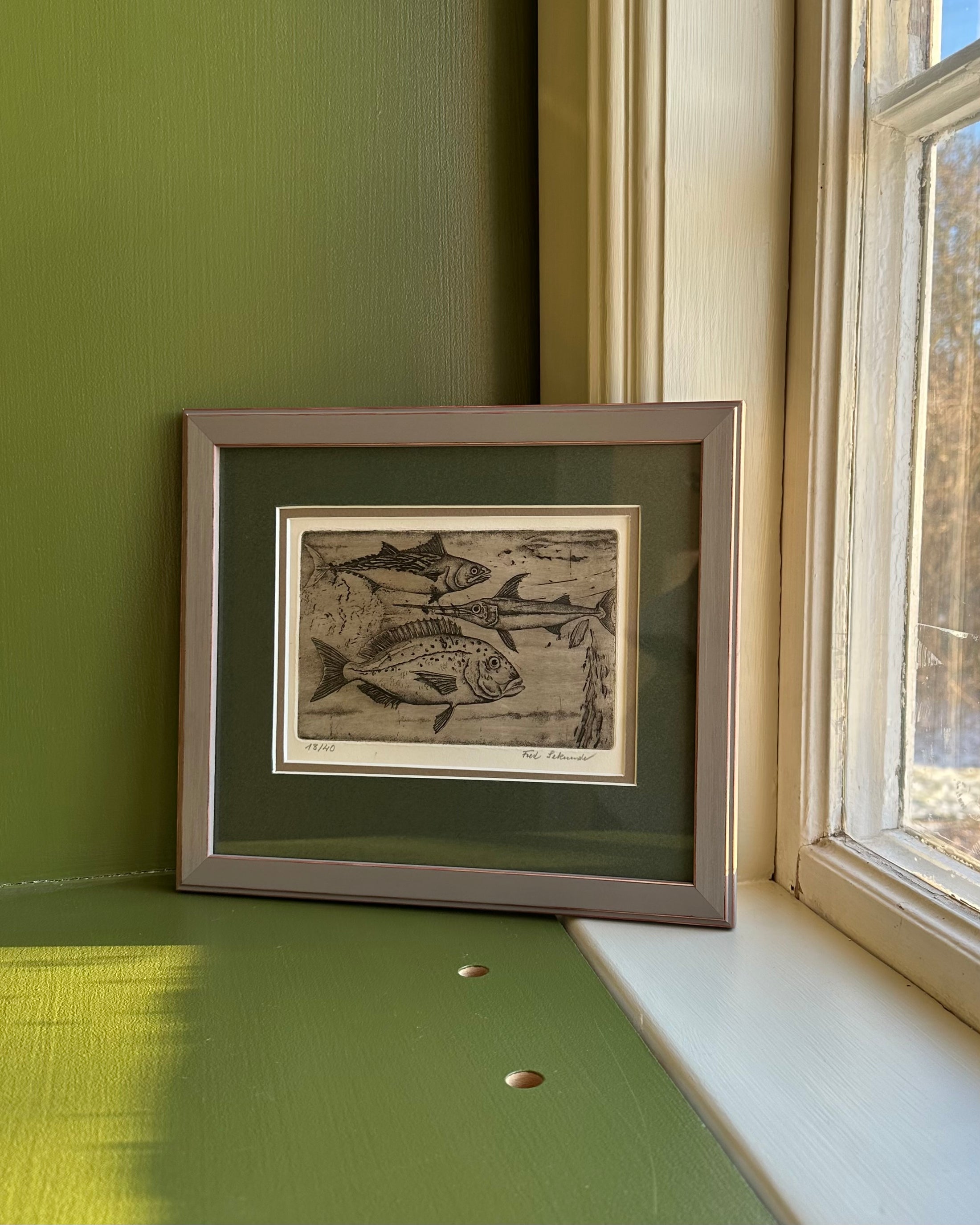 Framed Fish Lithograph