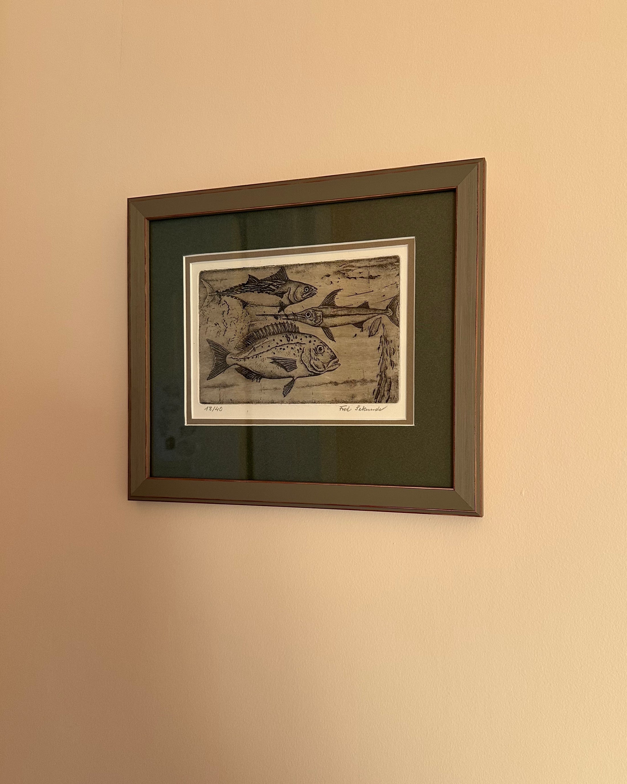 Framed Fish Lithograph