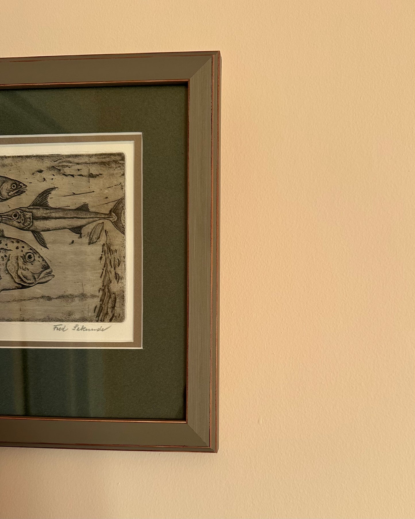 Framed Fish Lithograph
